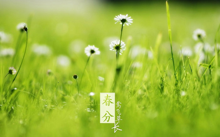 即便是春风十里，依然不如你